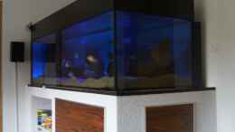 aquarium-von-oeli-zu-verkaufen_Beleuchtungsphase nur Hintergrundbeleuchtung und LED blau an
