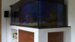 aquarium-von-oeli-zu-verkaufen_Beleuchtungsphase nur LED-Lampe blau (Mondlicht) an