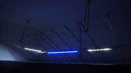 aquarium-von-oeli-zu-verkaufen_Anordnung der neuen LED-Lampen
