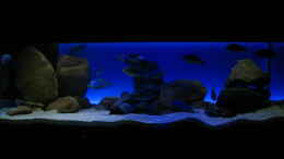 aquarium-von-oeli-zu-verkaufen_Frontalansicht Komplettbeleuchtung