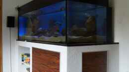 aquarium-von-oeli-zu-verkaufen_Beleuchtungsphase alle LED-Lampen an