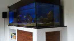 aquarium-von-oeli-zu-verkaufen_Beleuchtungsphase im hinteren Teil LED weiß aus