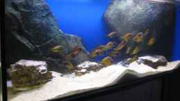 aquarium-von-simmal-becken-12035_Ilangis