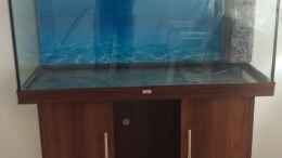 aquarium-von-ralf-bercke-naturaquarium-suedamerika--nur-noch-beispiel_Mein neues Becken (Juwel Rio 300) Mitte August 2016