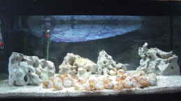 aquarium-von-max94-becken-12275_das Becken