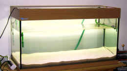 aquarium-von-andre-thiel-becken-1229_das Wasser ist wieder klar