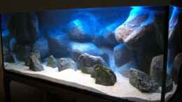 aquarium-von-matoba-nur-noch-630-liter-malawi-beispiel_Becken mit Beleuchtung beider Röhren (100%), Sand und Basal