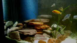 aquarium-von-torsten-nikolaus-becken-1239_HMF;Steinaufbauten aus roten Schiefer