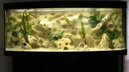 aquarium-von-mario-latschein-becken-1261_Das Becken ohne Fische in der Einlaufphase