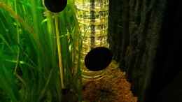 aquarium-von-ferbi-unterwasserdschungel_JBL ProFlora Taifun + PH - Elektrode + Thermometer