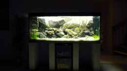 aquarium-von-zigermandli-malawi-wohnzimmer-aufgeloest_