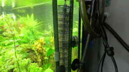 aquarium-von-pogobeer-becken-12968_links Filtereinlass JBL250, mitte CO2 Reaktor, rechts 2x Fil