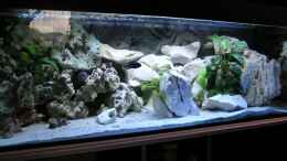 aquarium-von-tiger81-becken-13068_375 Liter Malawi