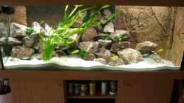 aquarium-von-ambrogio-becken-13102_AQ mit Steinaufbauten, Fischen & Pflanzen vom 18.07.09