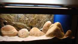 aquarium-von-kleener-stinker-becken-13321_Styropor, Steine dann Sand (und etliche Versuche für den Au