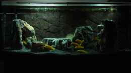 aquarium-von-ayahuasca-i-love-stones---aufgeloest_Front