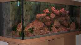aquarium-von-samson-malawi-400_Juwel Rio 400 Becken