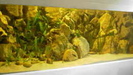 aquarium-von-enrico-pinkert-becken-1350_Becken von vorn