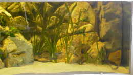 aquarium-von-enrico-pinkert-becken-1350_rechte Seite