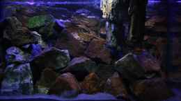 aquarium-von-florian-bandhauer-the-world-of-malawi-mbunas_Mit Reflektoren und Verdunklung kann man einiges an der Opti