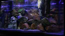 aquarium-von-florian-bandhauer-the-world-of-malawi-mbunas_Das ganze leicht von rechts nach links fotografiert