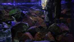 aquarium-von-florian-bandhauer-the-world-of-malawi-mbunas_2 künstliche hängende Steine rechts ,dienen als Sichtschut