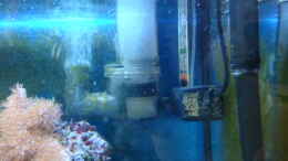 aquarium-von-b1gt4nk-sea-tank_
