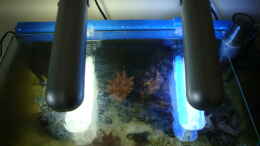 aquarium-von-b1gt4nk-sea-tank_Lampen