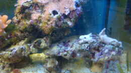 aquarium-von-b1gt4nk-sea-tank_rechte Seite