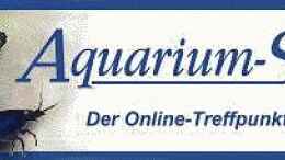 aquarium-von-holger-rauhe-becken-13613_http://www.aquarium-stammtisch.de/Forum/photoplog/index.php?