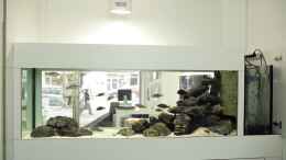 aquarium-von-ralf-bauer-becken-13672_Die Rückseite mit offener Tür zum Filterbereich