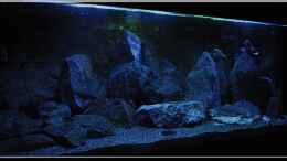 aquarium-von-ellis-nyassa-taiwan-reef-aufgeloest_von links (5)