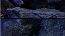 aquarium-von-ellis-nyassa-taiwan-reef-aufgeloest_Felsen (6) - durchschwimmbare Spalte zwischen den beiden gro