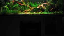 aquarium-von-michael-gerhardt-becken-1377_