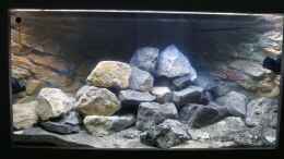 aquarium-von-tobias-neher-projekt-71336-malawi-aufbaudoku_Frontal mit heller Beleuchtung (Final)