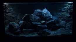 aquarium-von-tobias-neher-projekt-71336-malawi-aufbaudoku_Frontal bei Nacht
