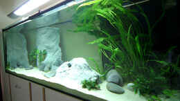 aquarium-von-bambarsch-tanganjika---es-war-einmal---_Wenn das Becken fertig ist folgen weitere Bilder und die ent