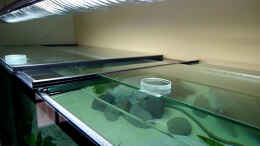 aquarium-von-bambarsch-tanganjika---es-war-einmal---_Schiebescheiben auf Schienen für ein optimales arbeiten im 