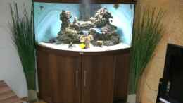 Aquarium einrichten mit Mein kleines Traum Riff  Meerwasser