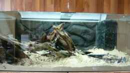 aquarium-von-lumpi-piranha-becken_ohne Wasser
