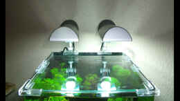 aquarium-von-sebastian-wischnewski-nano-cube30_Beleuchtung 2 x 11 Watt