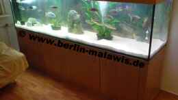 aquarium-von-www-berlin-malawis-de-900-l-raeuberbecken_250 x 60 x 60 - 900 L Becken