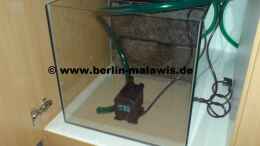aquarium-von-www-berlin-malawis-de-756-l-bunabecken_EB Klarwasserkammer mit Pumpe
