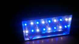 aquarium-von-moepple-studentenriff_Bau der LED Leuchte