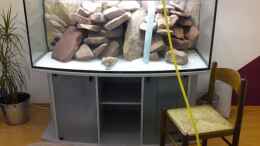 aquarium-von-debby--daniel-malawi_fertiger Steinaufbau / erst etwas Wasser, dann kommt der San