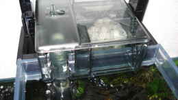 aquarium-von-lukas-szewczyk-fluval-edge-black-bee_Original Fluval EDGE Außenfilter befüllt mit einem Vorfilt