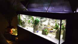 aquarium-von-joopde-becken-14927_geöffnete Deckel