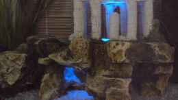 aquarium-von-denny-troebs-marke-vitakraft_Akropolis mit Beleuchtung