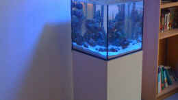 aquarium-von-hai-dang-ngo-nanoreef_