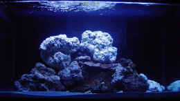 aquarium-von-the-lizardking-a-piece-of-reef-obsolete_